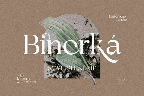Binerka: A Stylish Serif Font for Thoughtful Branding