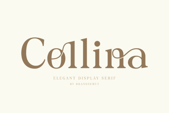 Collina: A Serif Font That Elevates Real Small Business Branding