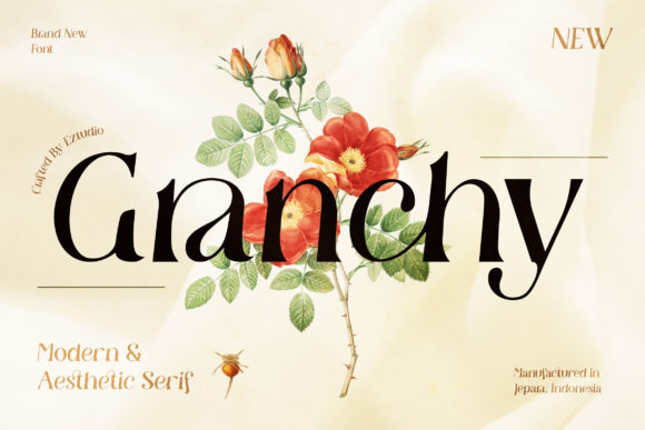 Granchy: A Modern Serif Font That Elevates Real Branding Work